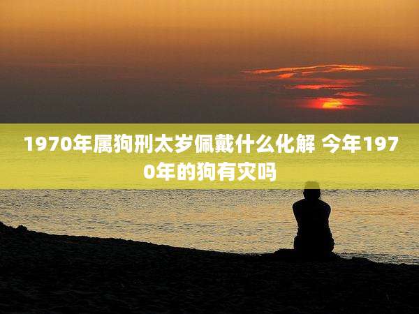 1970年属狗刑太岁佩戴什么化解 今年1970年的狗有灾吗