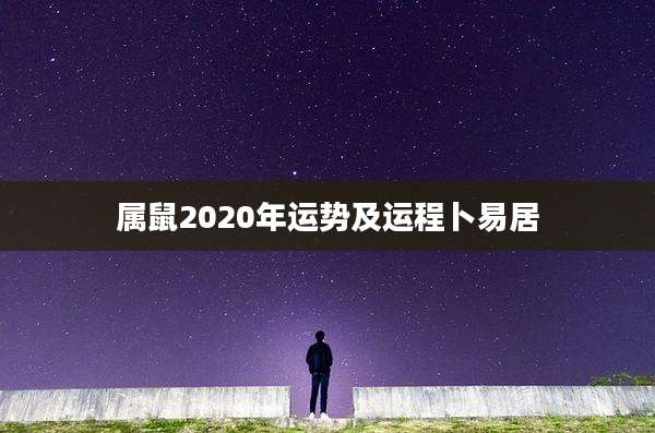 属鼠2020年运势及运程卜易居