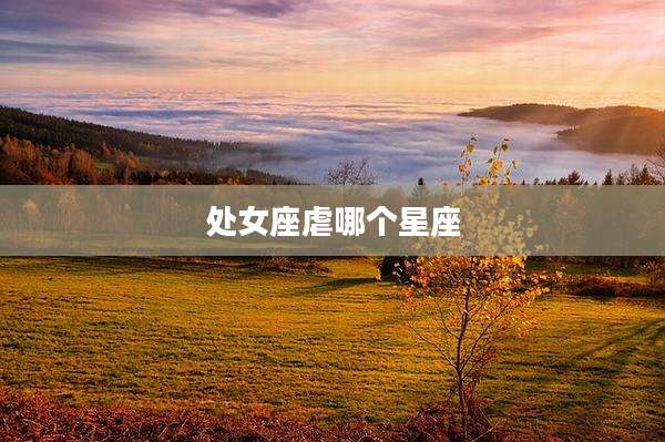 处女座虐哪个星座