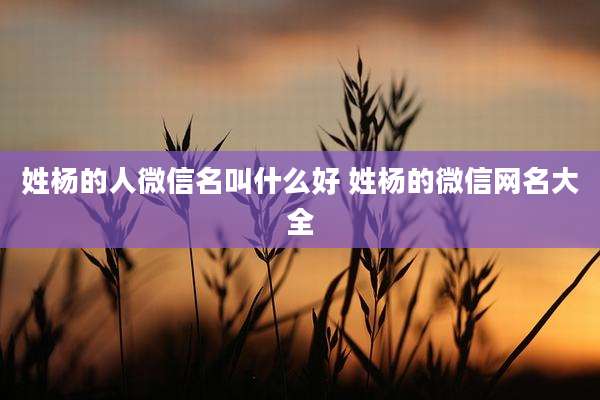 姓杨的人微信名叫什么好 姓杨的微信网名大全
