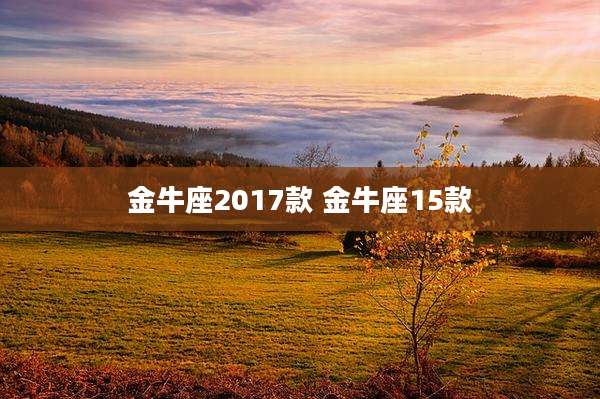 金牛座2017款 金牛座15款