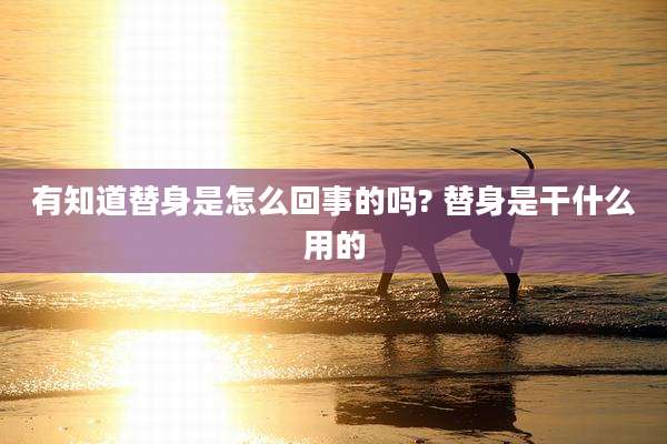 有知道替身是怎么回事的吗? 替身是干什么用的