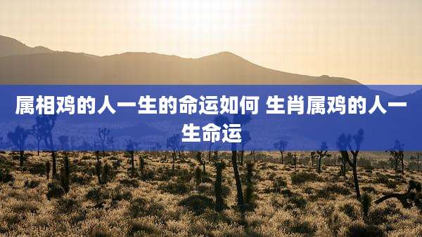 属相鸡的人一生的命运如何 生肖属鸡的人一生命运