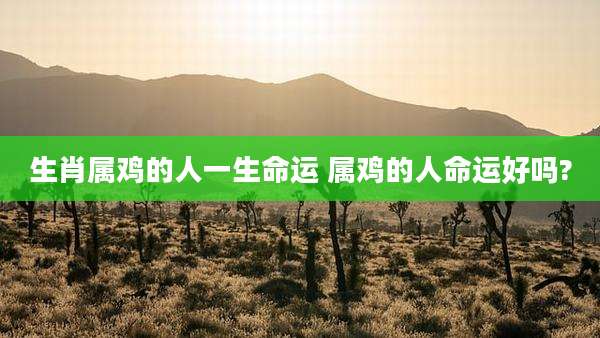 生肖属鸡的人一生命运 属鸡的人命运好吗?