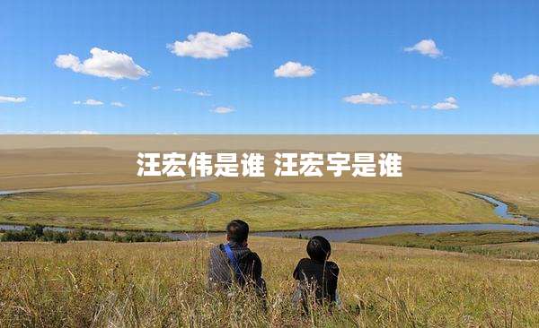 汪宏伟是谁 汪宏宇是谁