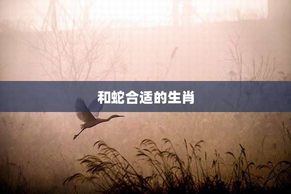 和蛇合适的生肖