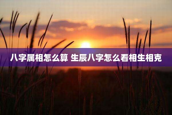 八字属相怎么算 生辰八字怎么看相生相克