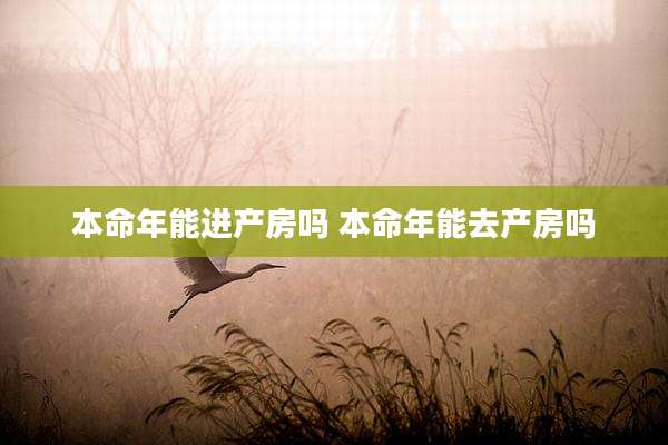 本命年能进产房吗 本命年能去产房吗
