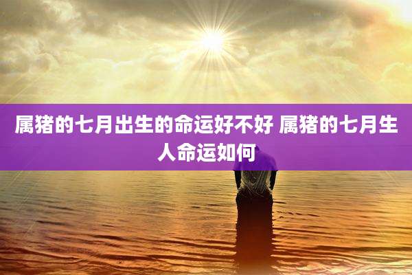 属猪的七月出生的命运好不好 属猪的七月生人命运如何