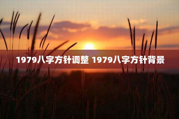 1979八字方针调整 1979八字方针背景