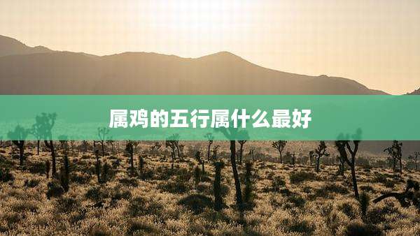 属鸡的五行属什么最好