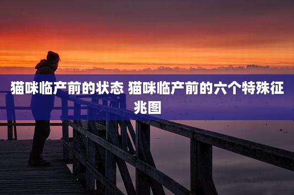 猫咪临产前的状态 猫咪临产前的六个特殊征兆图