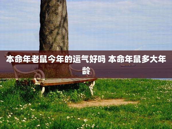 本命年老鼠今年的运气好吗 本命年鼠多大年龄