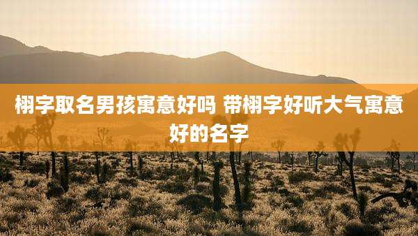 栩字取名男孩寓意好吗 带栩字好听大气寓意好的名字