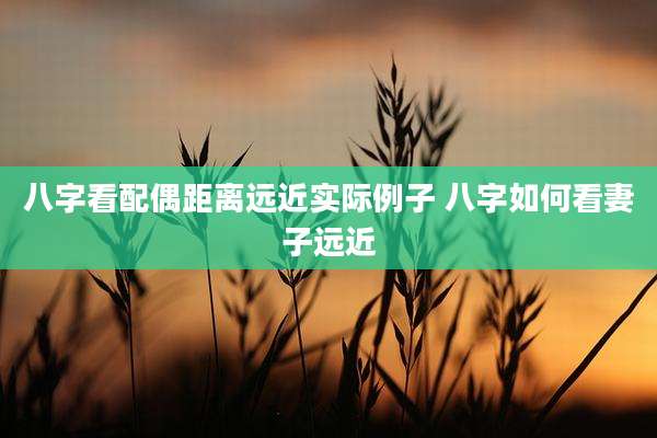 八字看配偶距离远近实际例子 八字如何看妻子远近