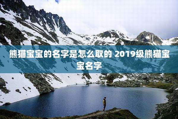 熊猫宝宝的名字是怎么取的 2019级熊猫宝宝名字