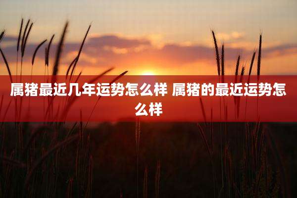 属猪最近几年运势怎么样 属猪的最近运势怎么样