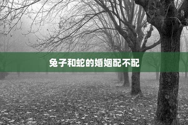 兔子和蛇的婚姻配不配