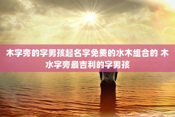 木字旁的字男孩起名字免费的水木组合的 木水字旁最吉利的字男孩