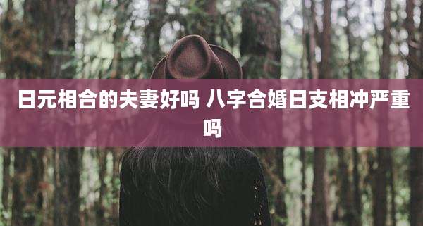 日元相合的夫妻好吗 八字合婚日支相冲严重吗
