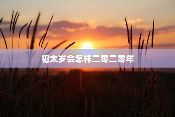 犯太岁会怎样二零二零年