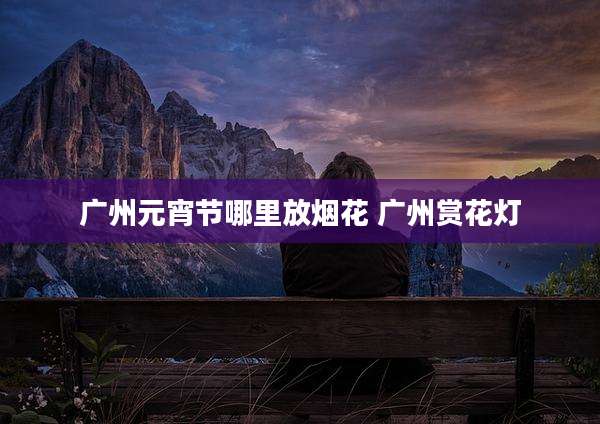 广州元宵节哪里放烟花 广州赏花灯