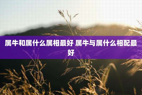属牛和属什么属相最好 属牛与属什么相配最好