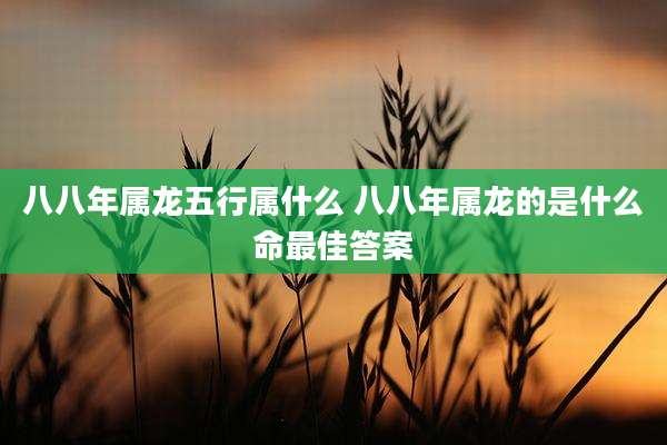 八八年属龙五行属什么 八八年属龙的是什么命最佳答案