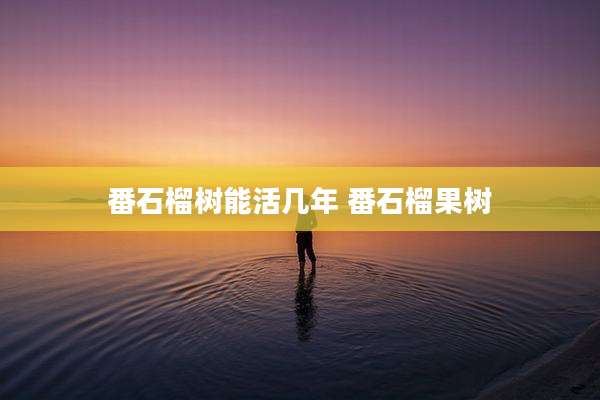 番石榴树能活几年 番石榴果树