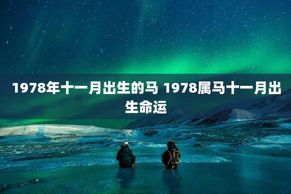 1978年十一月出生的马 1978属马十一月出生命运