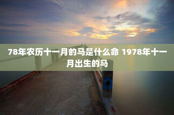 78年农历十一月的马是什么命 1978年十一月出生的马