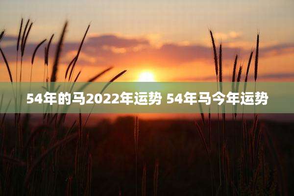 54年的马2022年运势 54年马今年运势
