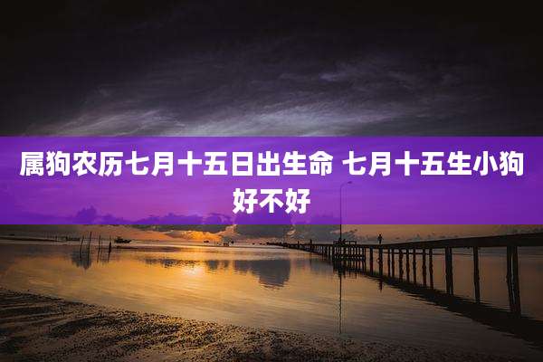 属狗农历七月十五日出生命 七月十五生小狗好不好