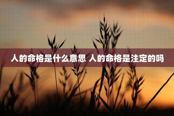 人的命格是什么意思 人的命格是注定的吗