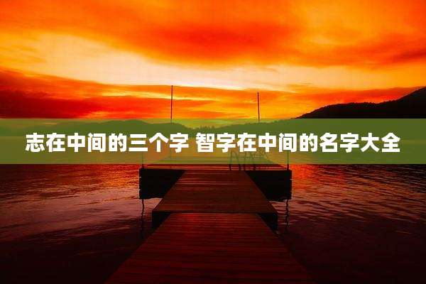志在中间的三个字 智字在中间的名字大全