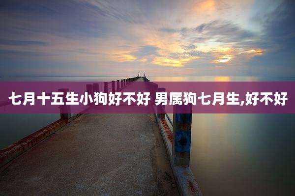 七月十五生小狗好不好 男属狗七月生,好不好