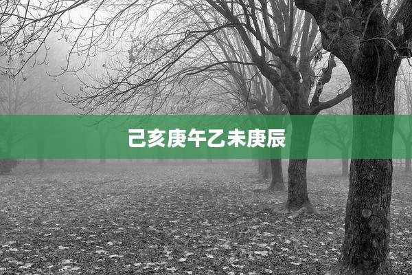 己亥庚午乙未庚辰