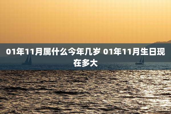 01年11月属什么今年几岁 01年11月生日现在多大