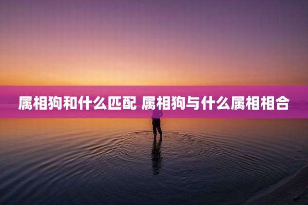 属相狗和什么匹配 属相狗与什么属相相合