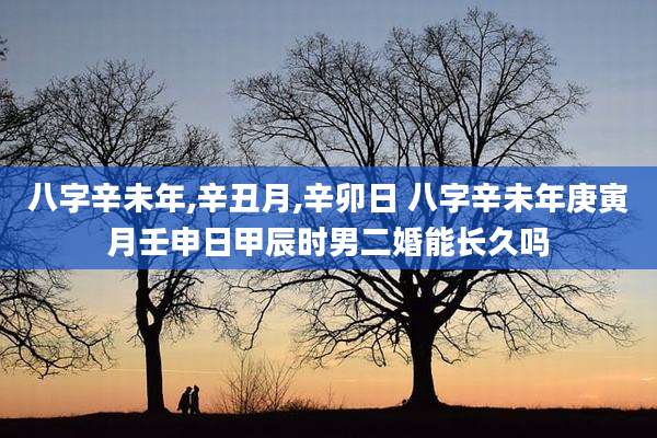 八字辛未年,辛丑月,辛卯日 八字辛未年庚寅月壬申日甲辰时男二婚能长久吗