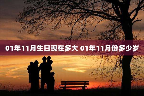 01年11月生日现在多大 01年11月份多少岁
