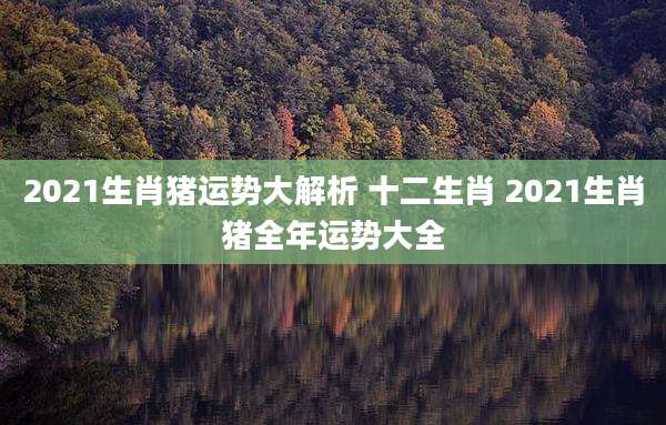 2021生肖猪运势大解析 十二生肖 2021生肖猪全年运势大全