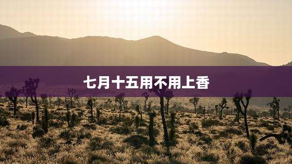 七月十五用不用上香