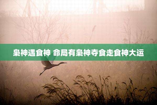 枭神遇食神 命局有枭神夺食走食神大运