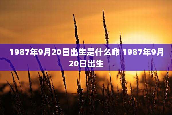 1987年9月20日出生是什么命 1987年9月20日出生