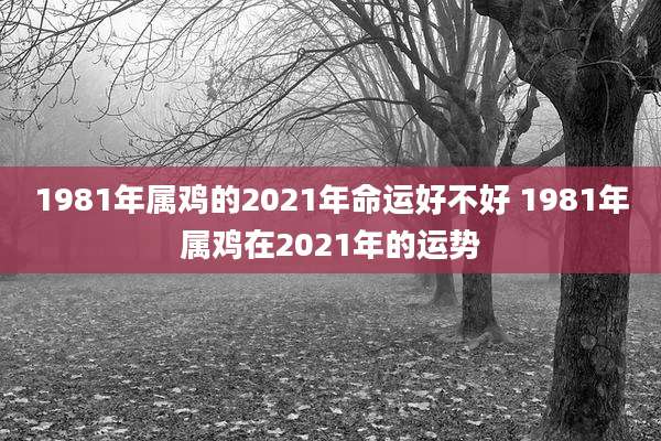 1981年属鸡的2021年命运好不好 1981年属鸡在2021年的运势