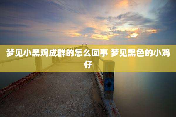 梦见小黑鸡成群的怎么回事 梦见黑色的小鸡仔