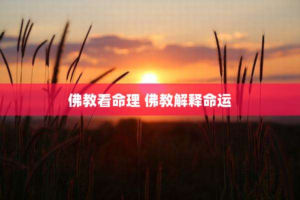 佛教看命理 佛教解释命运