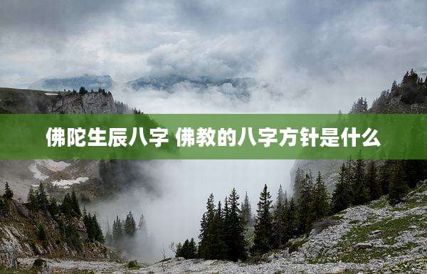 佛陀生辰八字 佛教的八字方针是什么