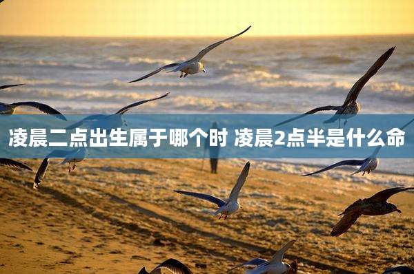 凌晨二点出生属于哪个时 凌晨2点半是什么命